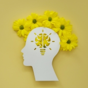 flat-lay-assortment-optimism-concept-with-flowers